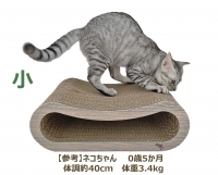 NEKO ǭ���ޤȤ��٥å�(��)�ڶ�������ܡ�����͡�