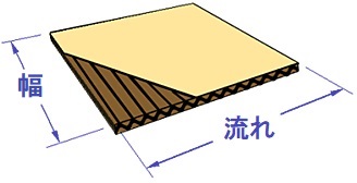 box21